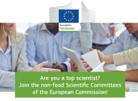 Scientific Committees