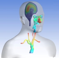 Virtual Physiological Human